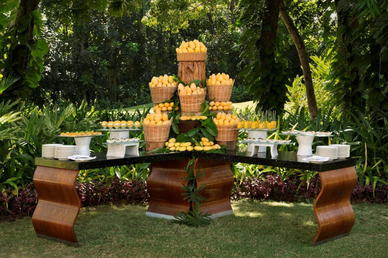 Shangri-La Mactan, Cebu Lapu-Lapu City Exterior photo A buffet table with a tropical theme